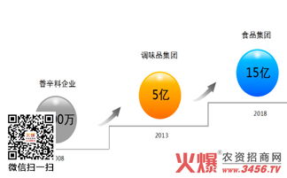 五年蝶變 鴻興源調(diào)味品從2000萬(wàn)到6億的營(yíng)銷策劃之路